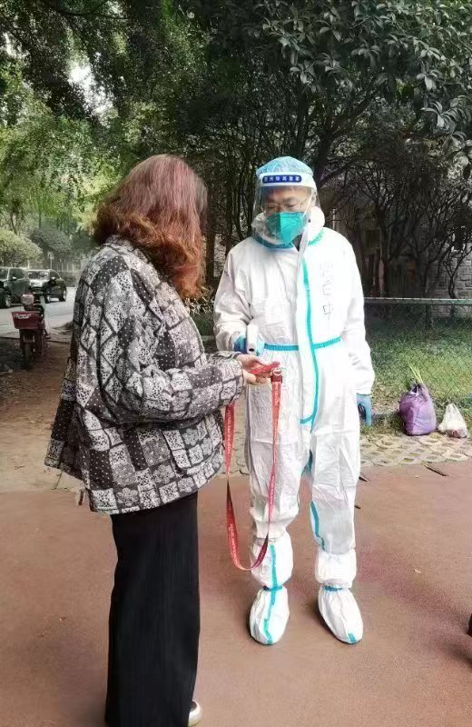 血流成河